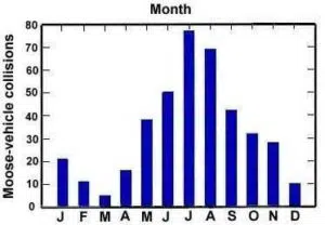 moose vehicle collision stats by month