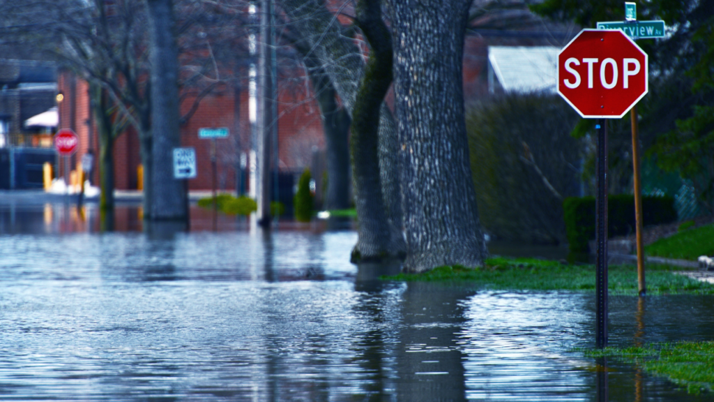 flood damage prevention tips from Wedgwood Insurance