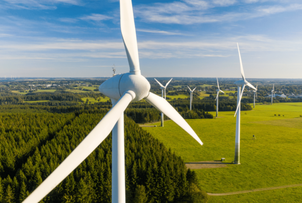 Aerial view of a wind farm with multiple wind turbines standing tall amidst green fields and forests under a clear blue sky, representing renewable energy initiatives in ESG (Environmental, Social, and Governance) Reporting Canada 2024.