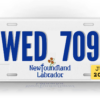 Image of a vehicle license plate with the text 'WED 709' in bold blue letters. Below, there's the phrase 'Newfoundland Labrador' in smaller blue font, accompanied by a graphic of a flower. On the bottom right corner is a yellow tag with 'JUN 2023' in black text, indicating the renewal date for NL License and Registration.
